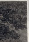 British
Line and Stipple Engraving 
41.8 x 47.3 cm (image); 43.1 x 58.1 cm (sheet)
Achenbach Foundation for Graphic Arts
1963.30.20035
Engraver, John Chapman