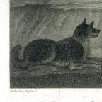 British
Line and Stipple Engraving
42.1 x 48 cm (image); 43 x 58.1 cm (sheet) 
Achenbach Foundation for Graphic Arts
1963.30.20031
Thomas Cheesman