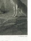 British
Line and Stipple Engraving
42.1 x 48 cm (image); 43 x 58.1 cm (sheet) 
Achenbach Foundation for Graphic Arts
1963.30.20031
Thomas Cheesman