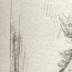 Wilhelm Nowak 
Czech , 1886 - 
Imogen (Shakespeare Visionen), 19th - 20th century
BL.Lith
38.3 x 24.2 cm (image); 43.5 x 30.7 cm (sheet)
Achenbach Foundation for Graphic Arts
1963.30.34172