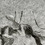 Walther Teutsch 
German 
Imogen. from Visions of Shakespeare, 
13.9 x 16.9 cm (image)
Achenbach Foundation for Graphic Arts
1963.30.35406