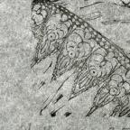 Walther Teutsch 
German 
Imogen. from Visions of Shakespeare, 
13.9 x 16.9 cm (image)
Achenbach Foundation for Graphic Arts
1963.30.35406