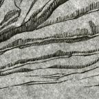 Walther Teutsch 
German 
Imogen. from Visions of Shakespeare, 
13.9 x 16.9 cm (image)
Achenbach Foundation for Graphic Arts
1963.30.35406