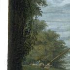 English
Line and Stipple Engraving with Hand Colouring.50.3 x 63.2 cm (image); 52.6 x 68.7 cm (sheet)
Achenbach Foundation for Graphic Arts
1963.30.20054
Engraver, Thomas Ryder
publisher, John and Josiah Boydel