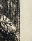 AmericanWood Engraving
8.4 x 6.7 cm (image) 
Achenbach Foundation for Graphic Arts