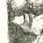 Wilhelm Nowak 
Czech , 1886 - 
Midsummer Night's Dream (Shakespeare Visionen), 19th - 20th century
BL.Lith
23.8 x 29.8 cm (image); 30.5 x 36.1 cm (sheet)
Achenbach Foundation for Graphic Arts
1963.30.34171