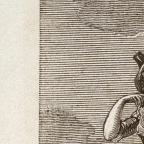 American
Wood Engraving
8.4 x 6.6 cm (image) 
Achenbach Foundation for Graphic Arts
