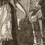 American
Wood Engraving
8.4 x 6.6 cm (image) 
Achenbach Foundation for Graphic Arts