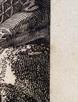 American
Wood Engraving
8.5 x 6.7 cm (image) 
Achenbach Foundation for Graphic Arts