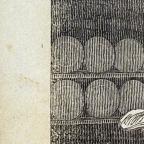 American
Wood Engraving
8.4 x 6.5 cm (image) 
Achenbach Foundation for Graphic Arts