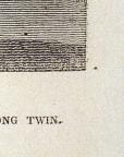 American
Wood Engraving
8.4 x 6.5 cm (image) 
Achenbach Foundation for Graphic Arts