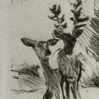 German
Drypoint
26.4 x 20.1 cm (image)
1963.30.227