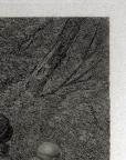 British
Line and Stipple Engraving 
41.2 x 48.1 cm (image); 42.6 x 58.3 cm (sheet)
Achenbach Foundation for Graphic Arts
1963.30.20033
Engraver, Anonymous