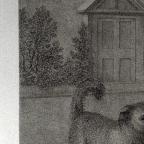 British
Line and Stipple Engraving 
41.2 x 48.1 cm (image); 42.6 x 58.3 cm (sheet)
Achenbach Foundation for Graphic Arts
1963.30.20033
Engraver, Anonymous