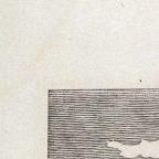 American
Wood Engraving
8.8 x 6.7 cm (image) 
Achenbach Foundation for Graphic Arts