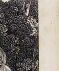 American
Wood Engraving
8.8 x 6.7 cm (image) 
Achenbach Foundation for Graphic Arts