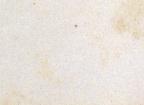 American
Wood Engraving
8.8 x 6.7 cm (image) 
Achenbach Foundation for Graphic Arts