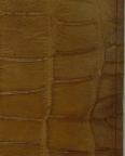 English
Book with Colour Lithographs
28.5 x 23 x 2.5 cm (object)
After, Henry Warren
Author, William Shakespeare