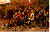 Sir John Gilbert.
Sir John Falstaff Reviews His Ragged Regiment, 1859.