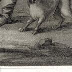British
Line and Stipple Engraving 
42.1 x 53 cm (image); 43 x 58.2 cm (sheet) 
Achenbach Foundation for Graphic Arts
1963.30.20036
Engraver, J. Coles