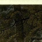 Scottish
Line and Stipple Engraving with Hand Colouring
50 x 63.6 cm (image); 52.4 x 67 cm (sheet)
Achenbach Foundation for Graphic Arts
1963.30.20045
Engraver, William Leney
Publisher, John and Josiah Boydell