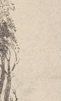American
Wood Engraving
14.6 x 10 cm (image)
Achenbach Foundation for Graphic Arts