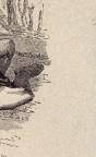 American
Wood Engraving
14.6 x 10 cm (image)
Achenbach Foundation for Graphic Arts