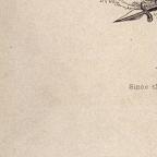 American
Wood Engraving
14.6 x 10 cm (image)
Achenbach Foundation for Graphic Arts
