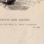 American
Wood Engraving
14.6 x 10 cm (image)
Achenbach Foundation for Graphic Arts