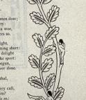 British
Reproduction of wood engraving
16.5 x 4 cm (image)
Achenbach Foundation for Graphic Arts
Author, William Shakespeare
Publisher, Sylvan Press