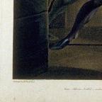English
Colour stipple engraving
49.9 x 63 cm (image)
Achenbach Foundation for Graphic Arts
1963.30.11889
After, Johann Heinrich Fuseli
Publisher, John and Josiah Boydell