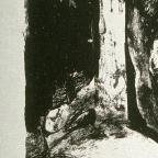 Willi Jaeckel 
German , 1888 - 
Hamlet (Shakespeare Visionen), 19th - 20th century
Lithograph
26.3 x 20.9 cm (image); 32.6 x 26.4 cm (sheet)
Achenbach Foundation for Graphic Arts
1963.30.34639