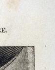 American
Wood Engraving
8.5 x 6.7 cm (image) 
Achenbach Foundation for Graphic Arts
