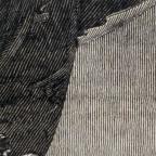 American
Wood Engraving
8.5 x 6.7 cm (image) 
Achenbach Foundation for Graphic Arts