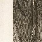 American
Wood Engraving
8.7 x 6.6 cm (image)
Achenbach Foundation for Graphic Arts