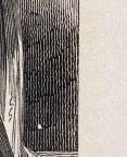 American
Wood Engraving
8.5 x 6.7 cm (image) 
Achenbach Foundation for Graphic Arts
