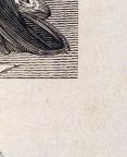 American
Wood Engraving
8.5 x 6.7 cm (image) 
Achenbach Foundation for Graphic Arts