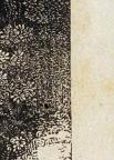 American
Wood Engraving
8.4 x 6.6 cm (image) 
Achenbach Foundation for Graphic Arts
