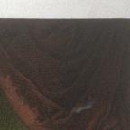 English ,
56.3 x 41.4 cm (image) inches
Achenbach Foundation for Graphic Artsl