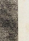 AmericanWood Engraving
8.5 x 6.7 cm (image) 
Achenbach Foundation for Graphic Arts