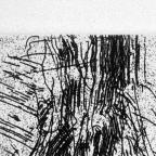 Unbound Book with a Suite of Twelve Etchings
33 x 19.5 cm (image) 
Gift of Louis H. Leiter
1996.94.2.3
Author, William Shakespeare
Copyright retained by the artist.