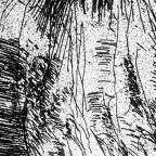 Unbound Book with a Suite of Twelve Etchings
33 x 19.5 cm (image) 
Gift of Louis H. Leiter
1996.94.2.3
Author, William Shakespeare
Copyright retained by the artist.