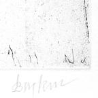 Unbound Book with a Suite of Twelve Etchings
33 x 19.5 cm (image) 
Gift of Louis H. Leiter
1996.94.2.3
Author, William Shakespeare
Copyright retained by the artist.