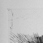 Unbound Book with a Suite of Twelve Etchings
32 x 19.5 cm (image) 
Gift of Louis H. Leiter
1996.94.2.2
Author, William Shakespeare
Copyright retained by the artist.
