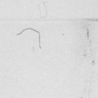 Unbound Book with a Suite of Twelve Etchings
32 x 19.5 cm (image) 
Gift of Louis H. Leiter
1996.94.2.2
Author, William Shakespeare
Copyright retained by the artist.