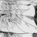 Unbound Book with a Suite of Twelve Etchings
32 x 19.5 cm (image) 
Gift of Louis H. Leiter
1996.94.2.2
Author, William Shakespeare
Copyright retained by the artist.