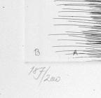 Unbound Book with a Suite of Twelve Etchings
32 x 20 cm (image)
Gift of Louis H. Leiter
1996.94.2.12
Author, William Shakespeare
Copyright retained by the artist.