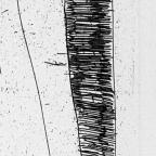 Unbound Book with a Suite of Twelve Etchings
33 x 19.5 cm (image)
Gift of Louis H. Leiter
1996.94.2.11
Author, William Shakespeare
Copyright retained by the artist.