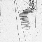 Unbound Book with a Suite of Twelve Etchings
33 x 19.5 cm (image)
Gift of Louis H. Leiter
1996.94.2.11
Author, William Shakespeare
Copyright retained by the artist.