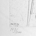 Unbound Book with a Suite of Twelve Etchings
33 x 19.5 cm (image)
Gift of Louis H. Leiter
1996.94.2.11
Author, William Shakespeare
Copyright retained by the artist.